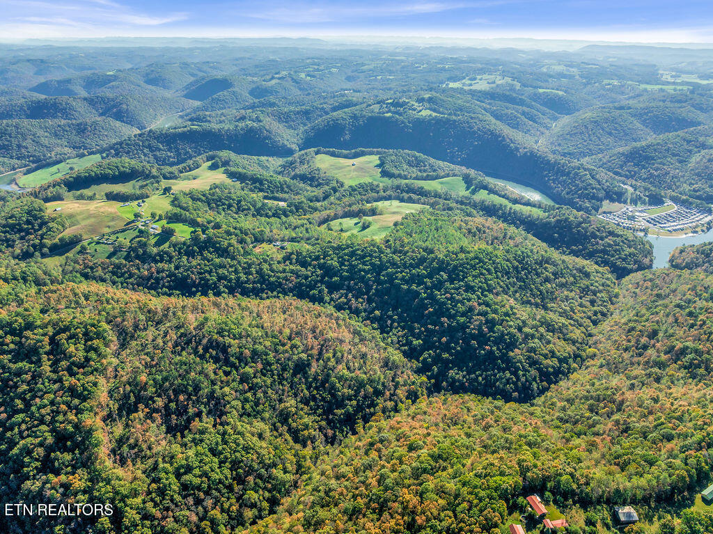 Friendship Hollow Road Speedwell, TN 37870 - Photo 38 of 44 Drone Friendship Hollow