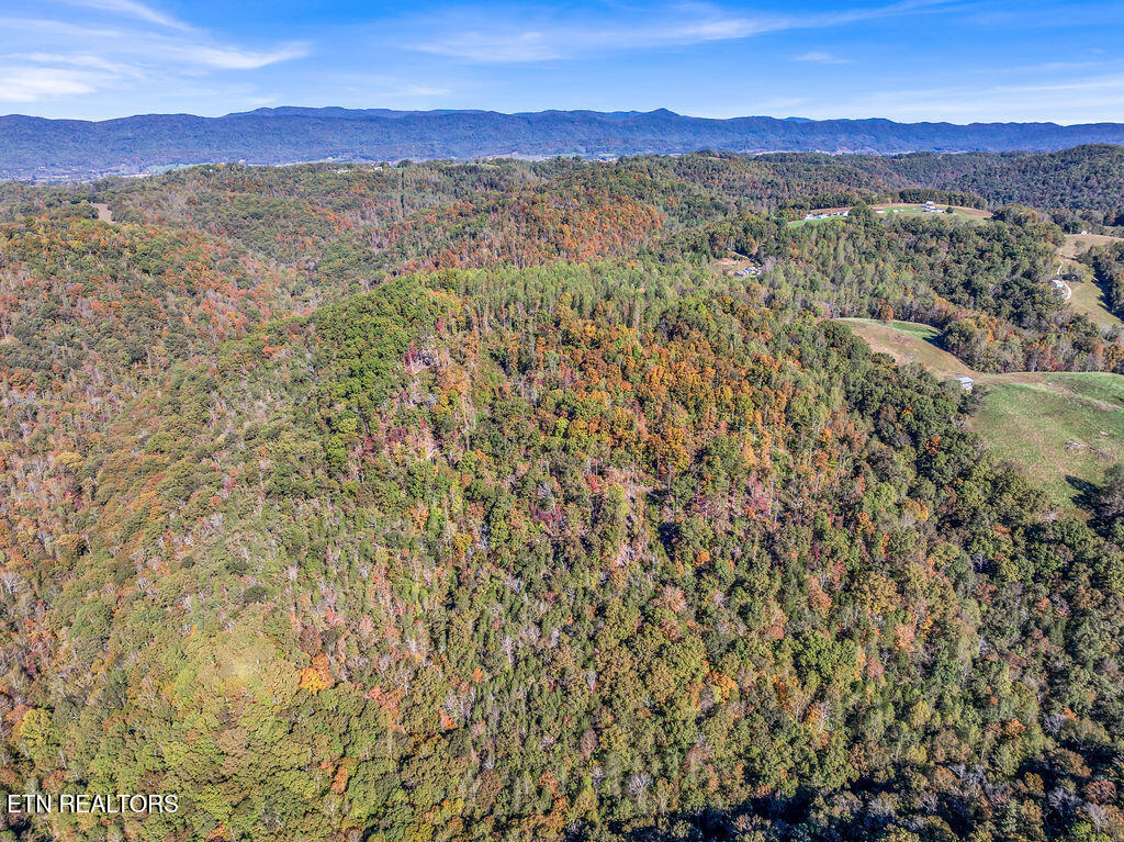 Friendship Hollow Road Speedwell, TN 37870 - Photo 39 of 44 Drone Friendship Hollow