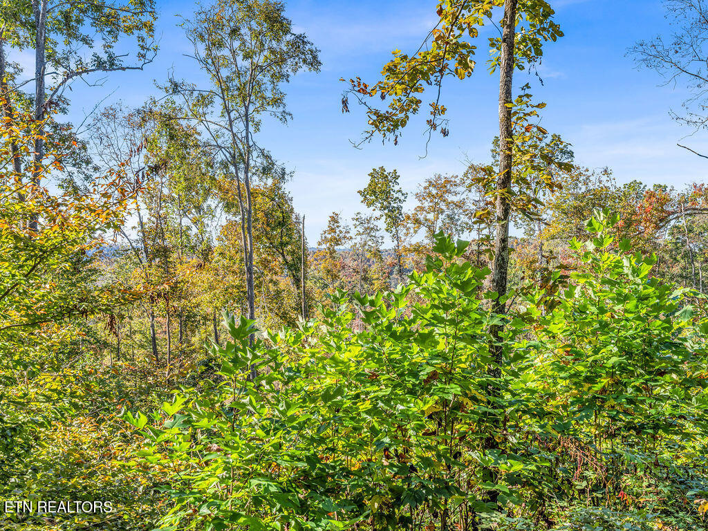 Friendship Hollow Road Speedwell, TN 37870 - Photo 10 of 44 Friendship Hollow Rd