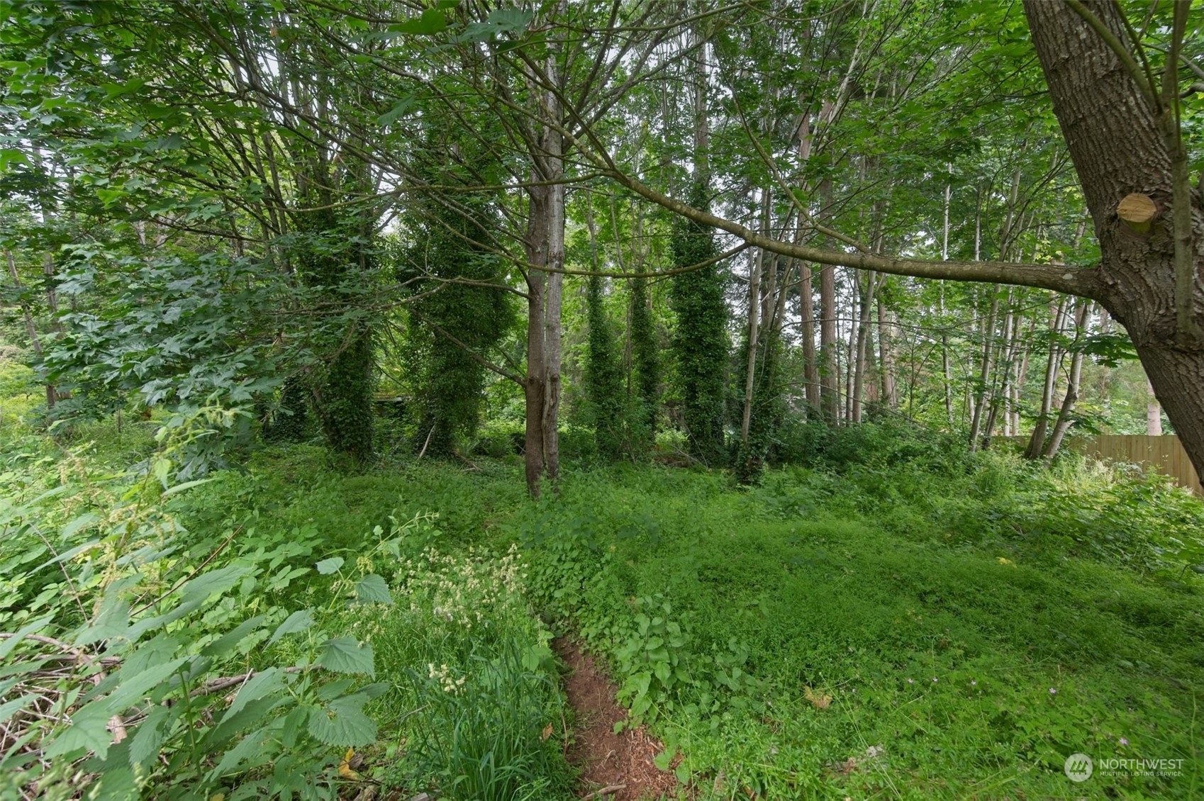 8121 Shoemaker Road Marysville, WA 98271 - Photo 4 of 20 a view of outdoor space with green field and trees