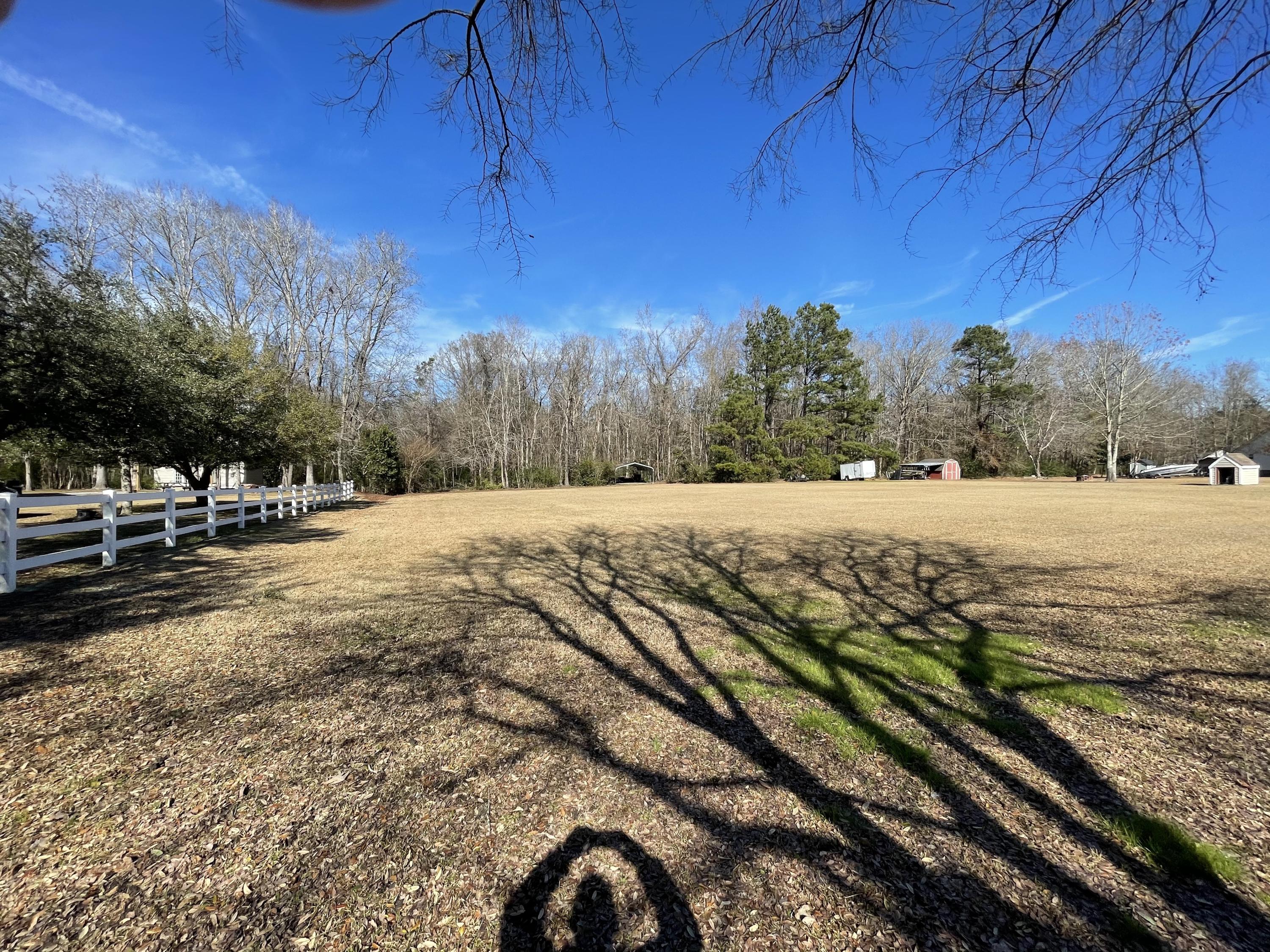 174 Columns Road Summerville, SC 29483 - Photo 58 of 69 rear yard1