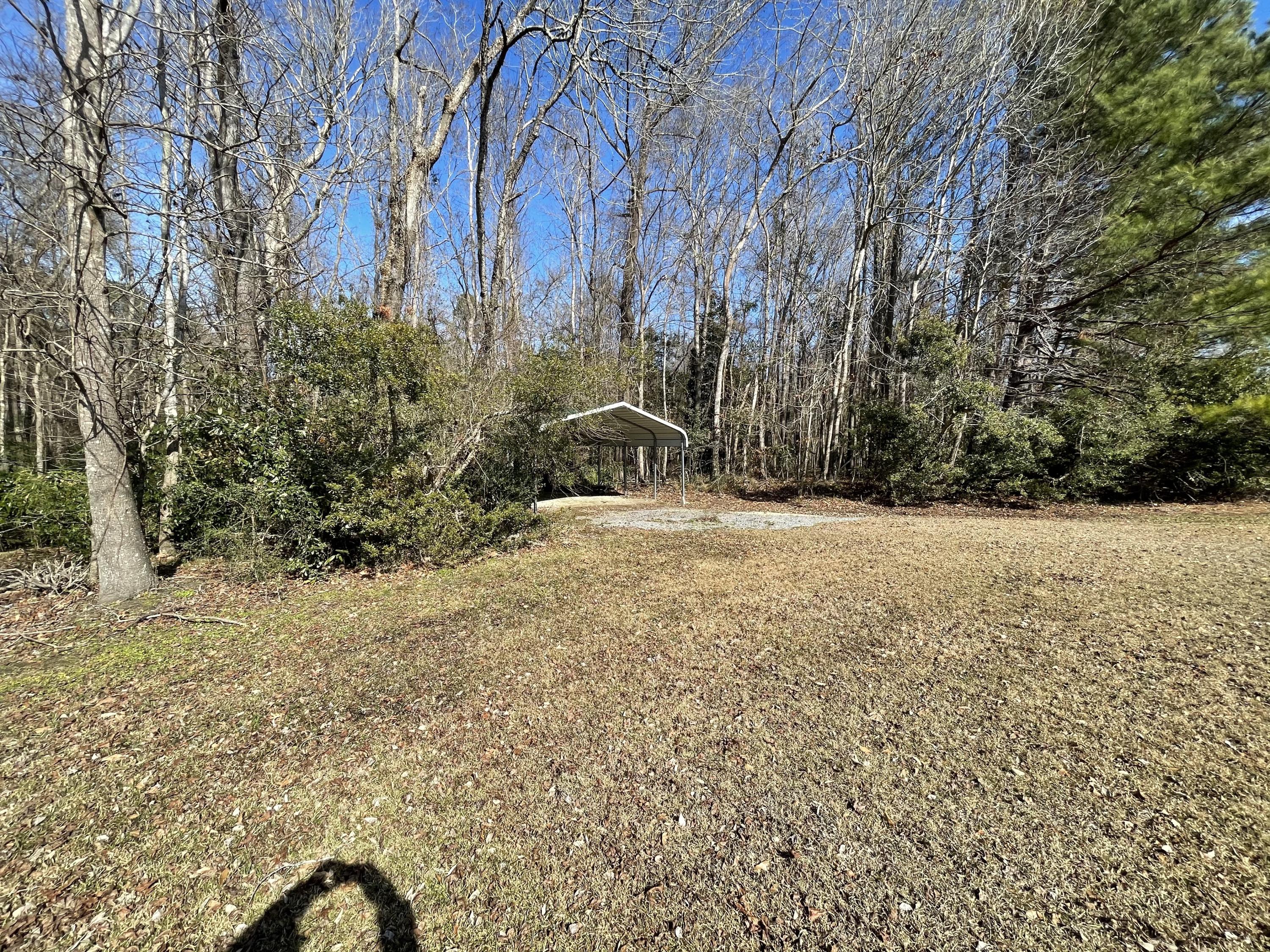 174 Columns Road Summerville, SC 29483 - Photo 60 of 69 Metel Car Cover1