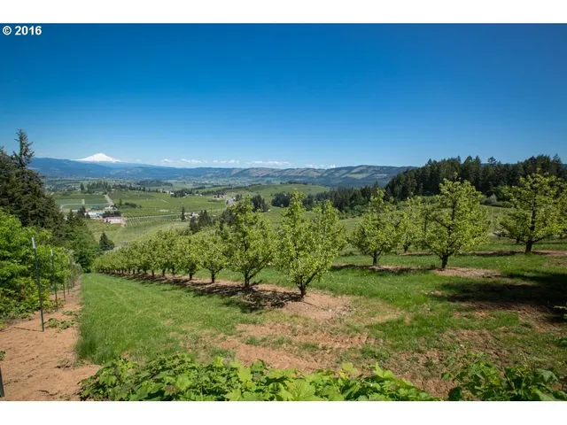 a view of a yard with an outdoor space