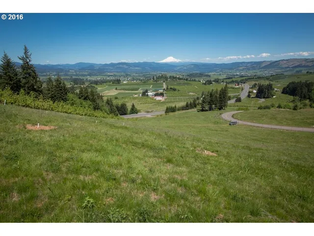 a view of an ocean and a yard
