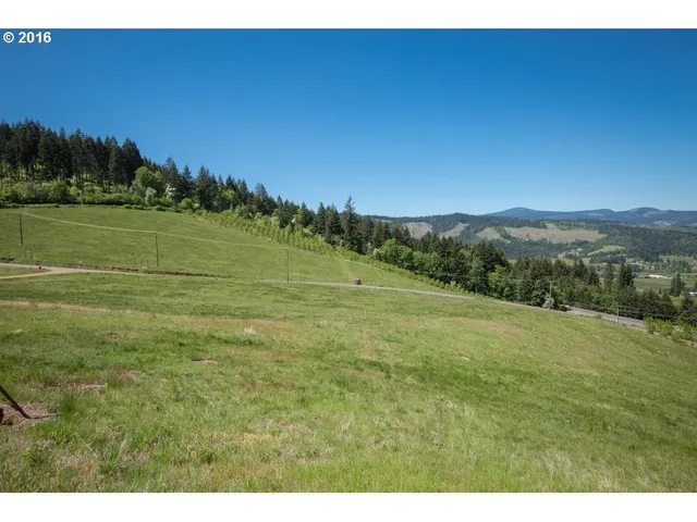 a view of a field with an ocean