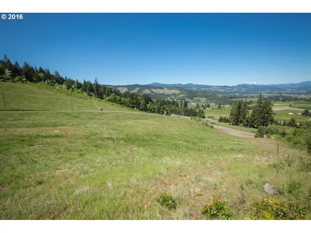 a view of an ocean from a yard