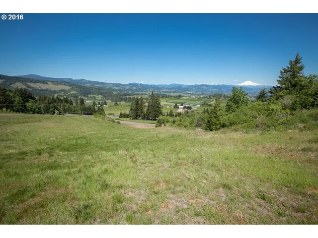a view of an outdoor space and a yard