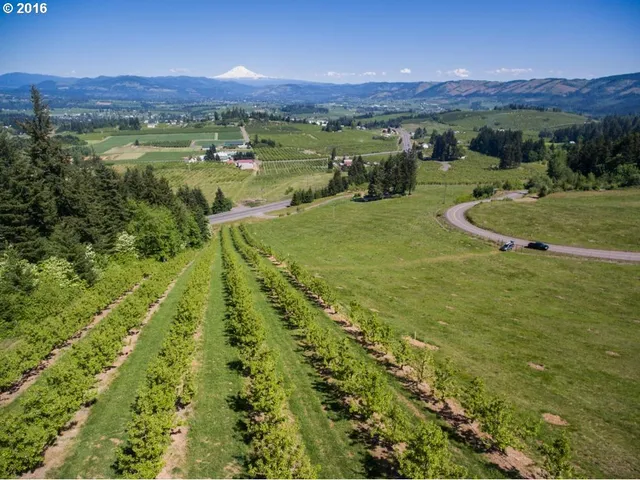 a view of a lush green hillside and houses