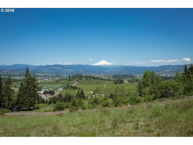 a view of a lush green field
