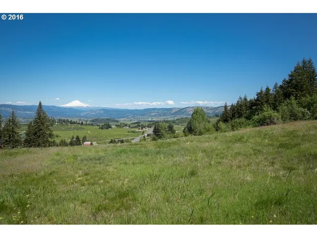 a view of a big yard with large trees