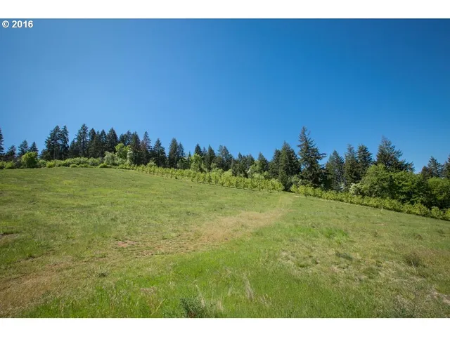 a view of a field with trees in background
