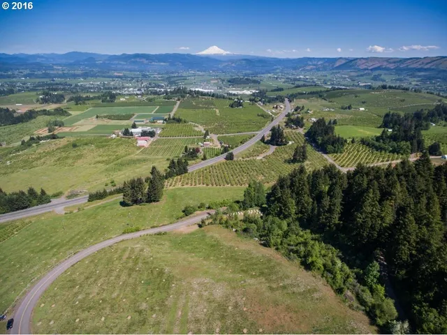 a view of a city with an ocean