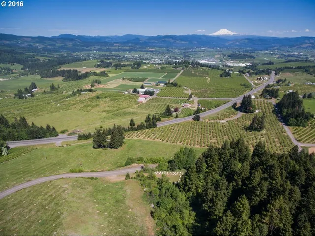 a view of a lush green hillside and houses