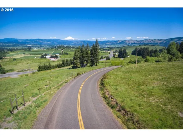 a view of a big yard with potted plants