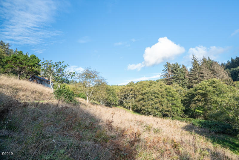 6005 Rowan Road Neskowin, OR 97149 - Photo 2 of 12 Upper meadow and new home to east