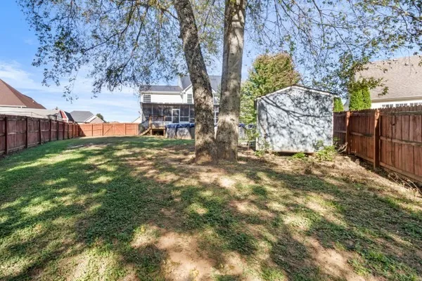 a view of a yard with large tree and wooden fence