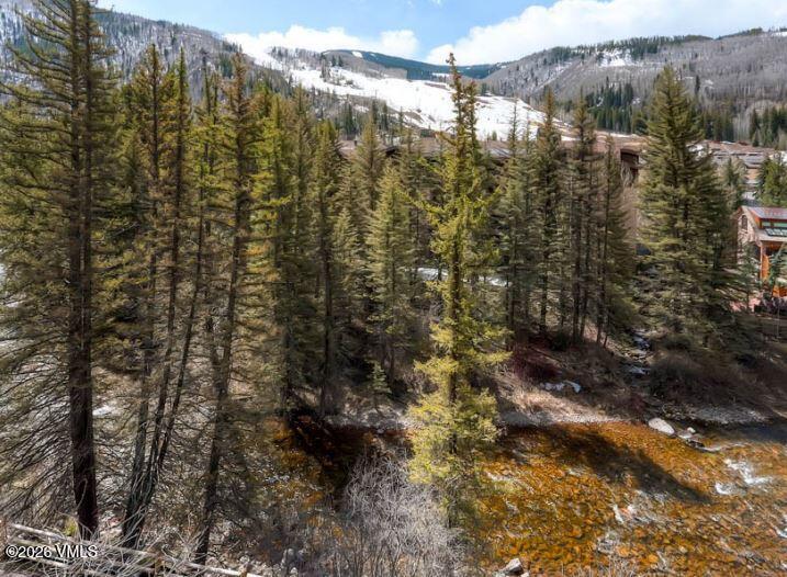 500 South Frontage Road East, Unit 414 Vail, CO 81657 - Photo 35 of 35 Wrengorecreek