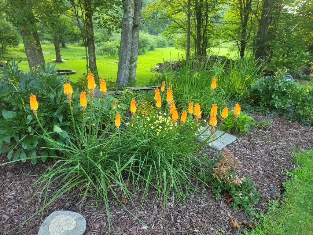 17 Hardie Road Conklin, NY 13748 - Photo 33 of 47 Gallery Image 33
