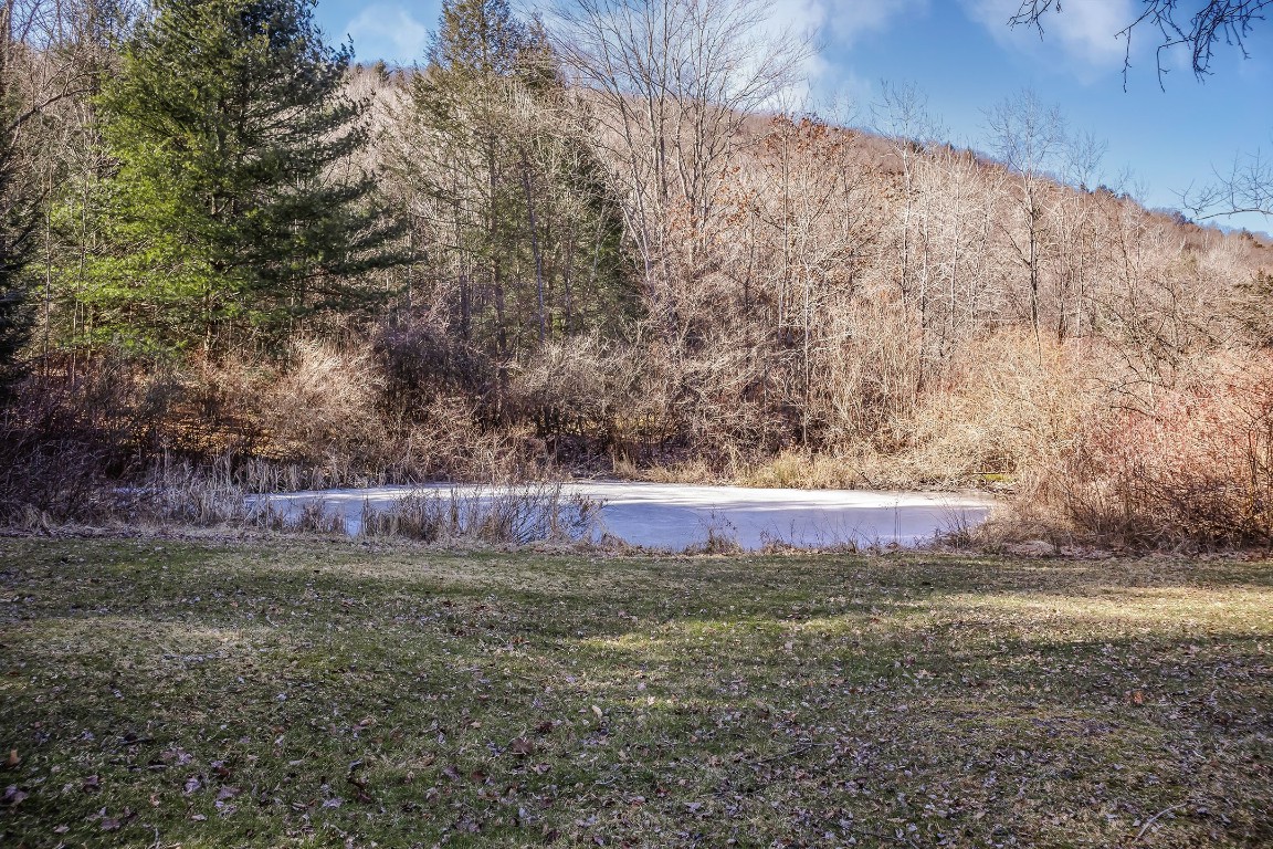 17 Hardie Road Conklin, NY 13748 - Photo 46 of 47 Gallery Image 46