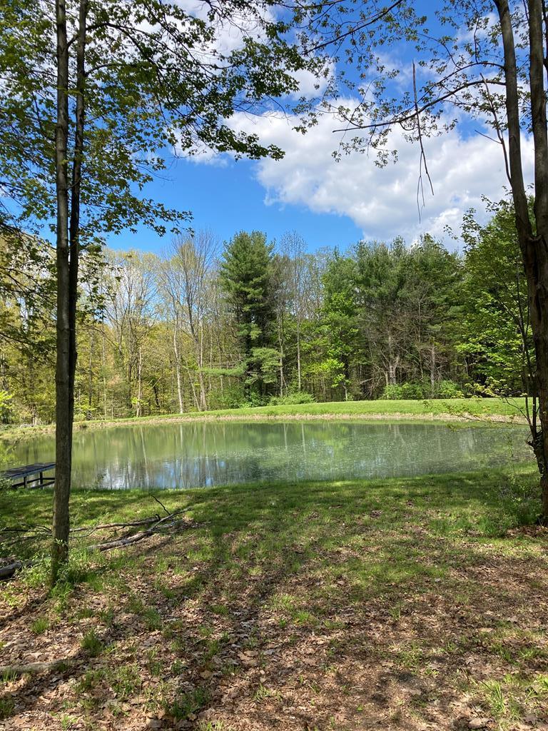 0 Nys Route Dundee, NY 14837 - Photo 1 of 1 Gallery Image 1