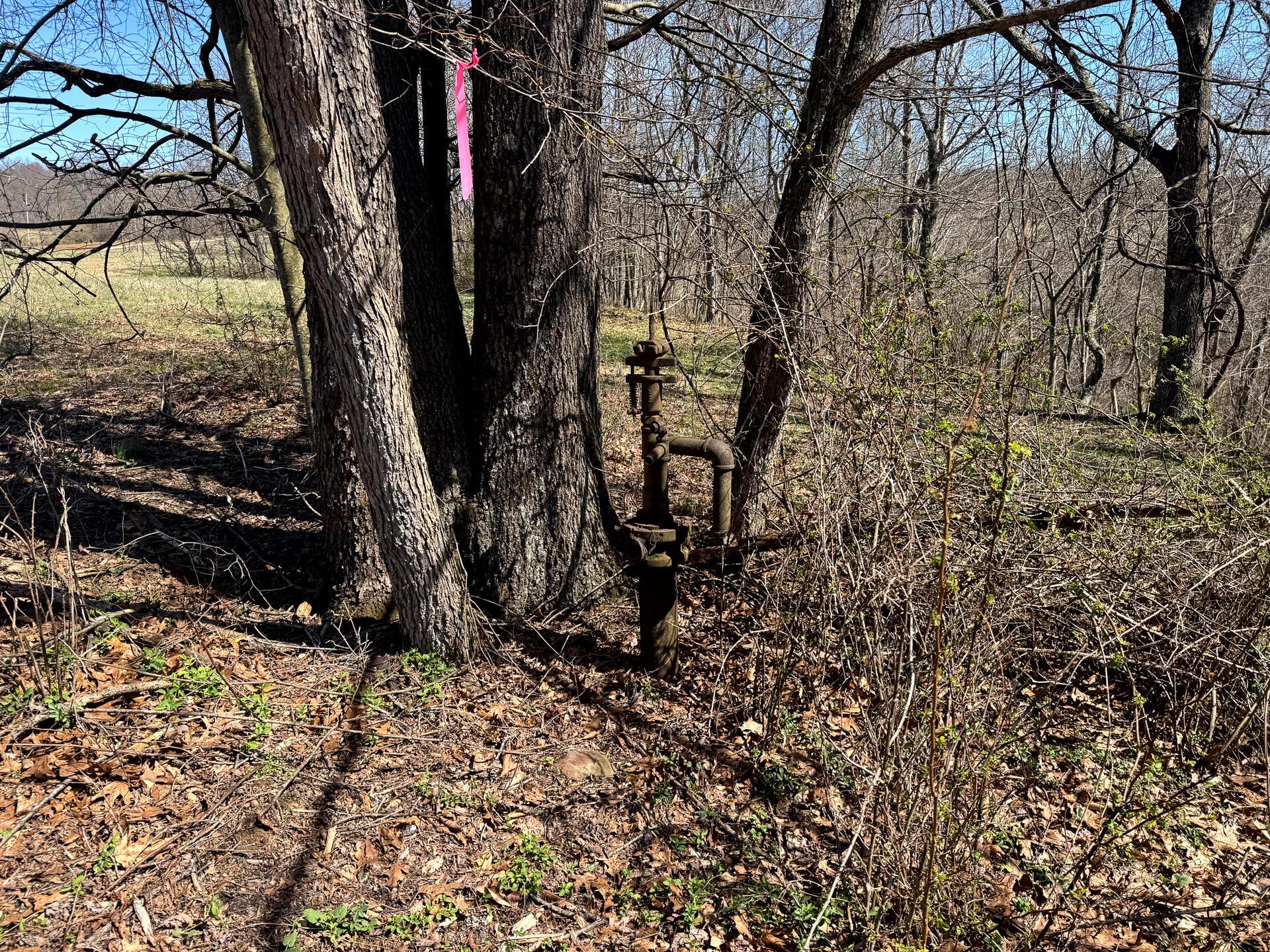 0 Remely Road, Unit MILLSTONE CAVES TRACT 1) Cutler, OH 45724 - Photo 38 of 41 CT-40