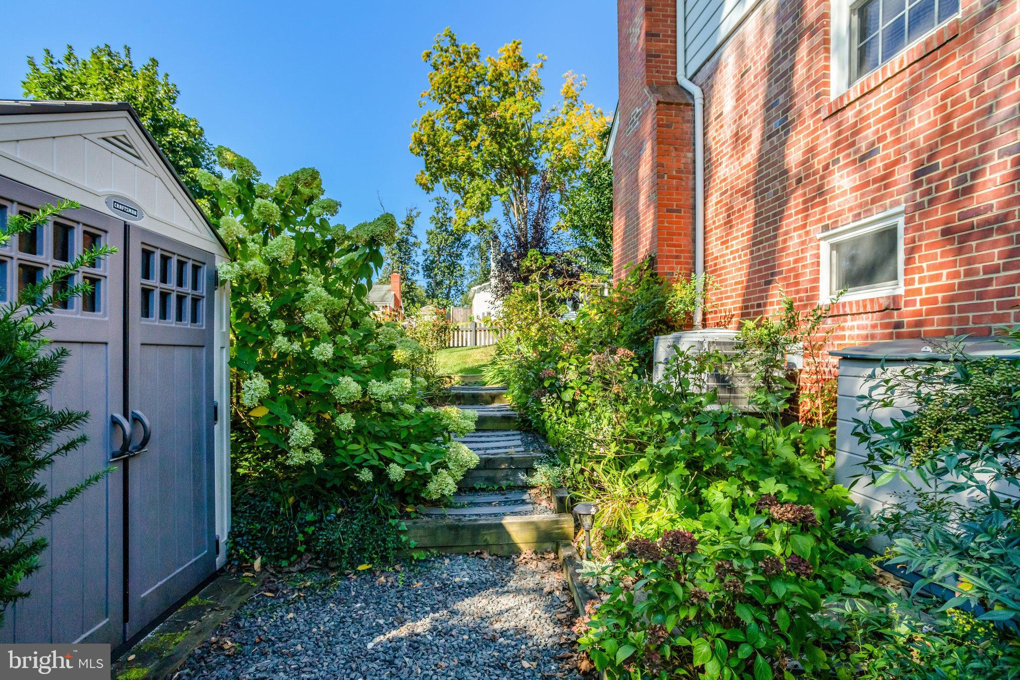 2911 Edgehill Drive Alexandria, VA 22302 - Photo 29 of 38 a plant that is in front of house