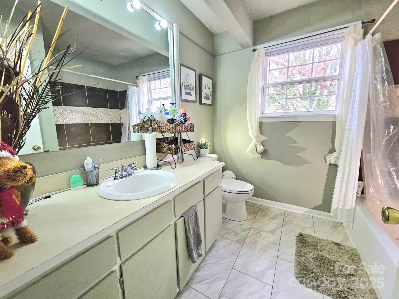7344 Rena Mae Lane Charlotte, NC 28227 - Photo 15 of 19 a bathroom with a sink toilet and shower