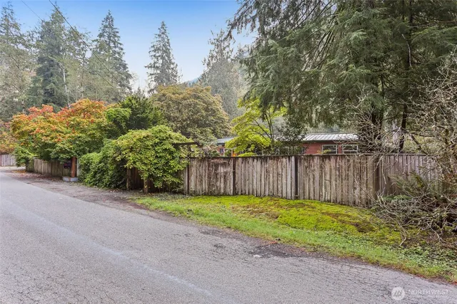 a view of a backyard with plants and large trees with wooden fence