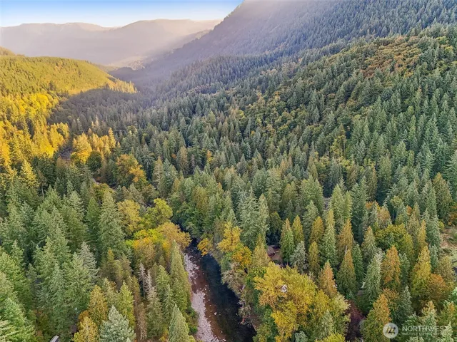 a view of a forest with mountains in the background