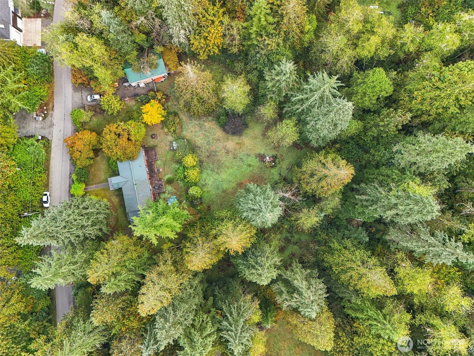 7346 Moon Valley Road Southeast North Bend, WA 98045 - Photo 8 of 14 a view of a flower in a garden