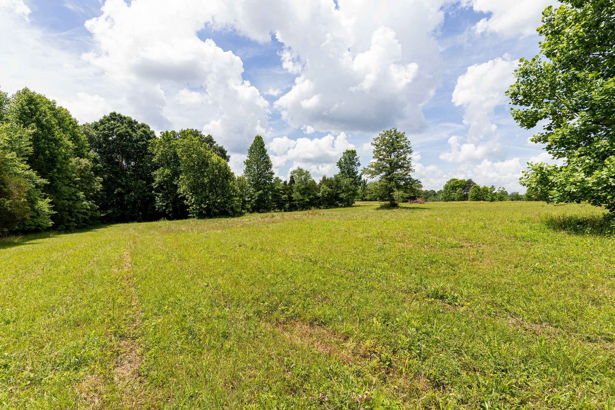 3590 Osborne Road Greenbrier, TN 37073 - Photo 11 of 27 Gallery Image 11