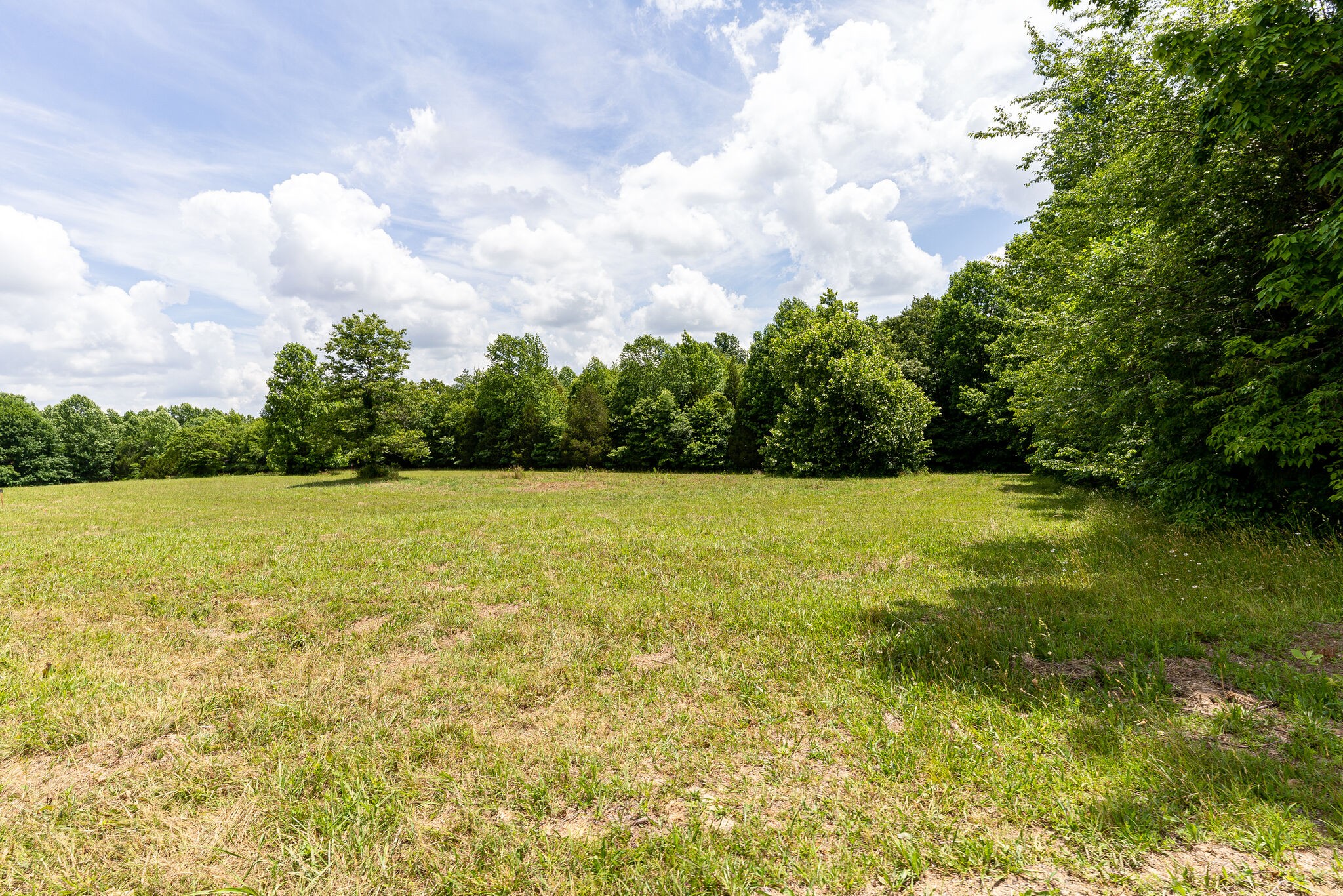 3590 Osborne Road Greenbrier, TN 37073 - Photo 12 of 27 Gallery Image 12