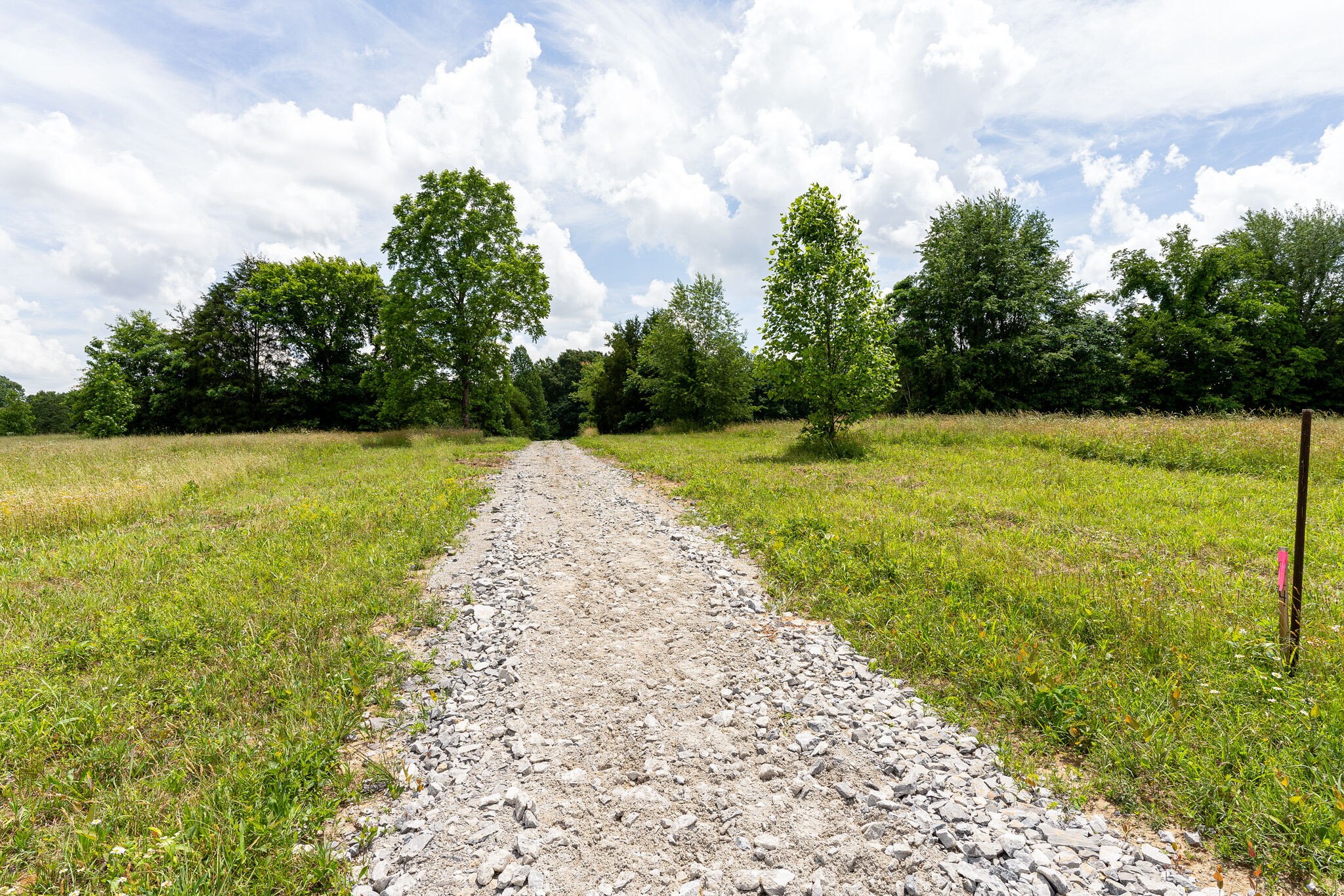 3590 Osborne Road Greenbrier, TN 37073 - Photo 13 of 27 Gallery Image 13
