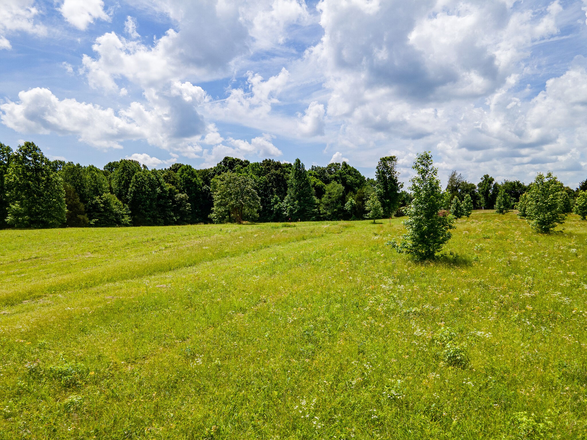 3590 Osborne Road Greenbrier, TN 37073 - Photo 24 of 27 Gallery Image 24
