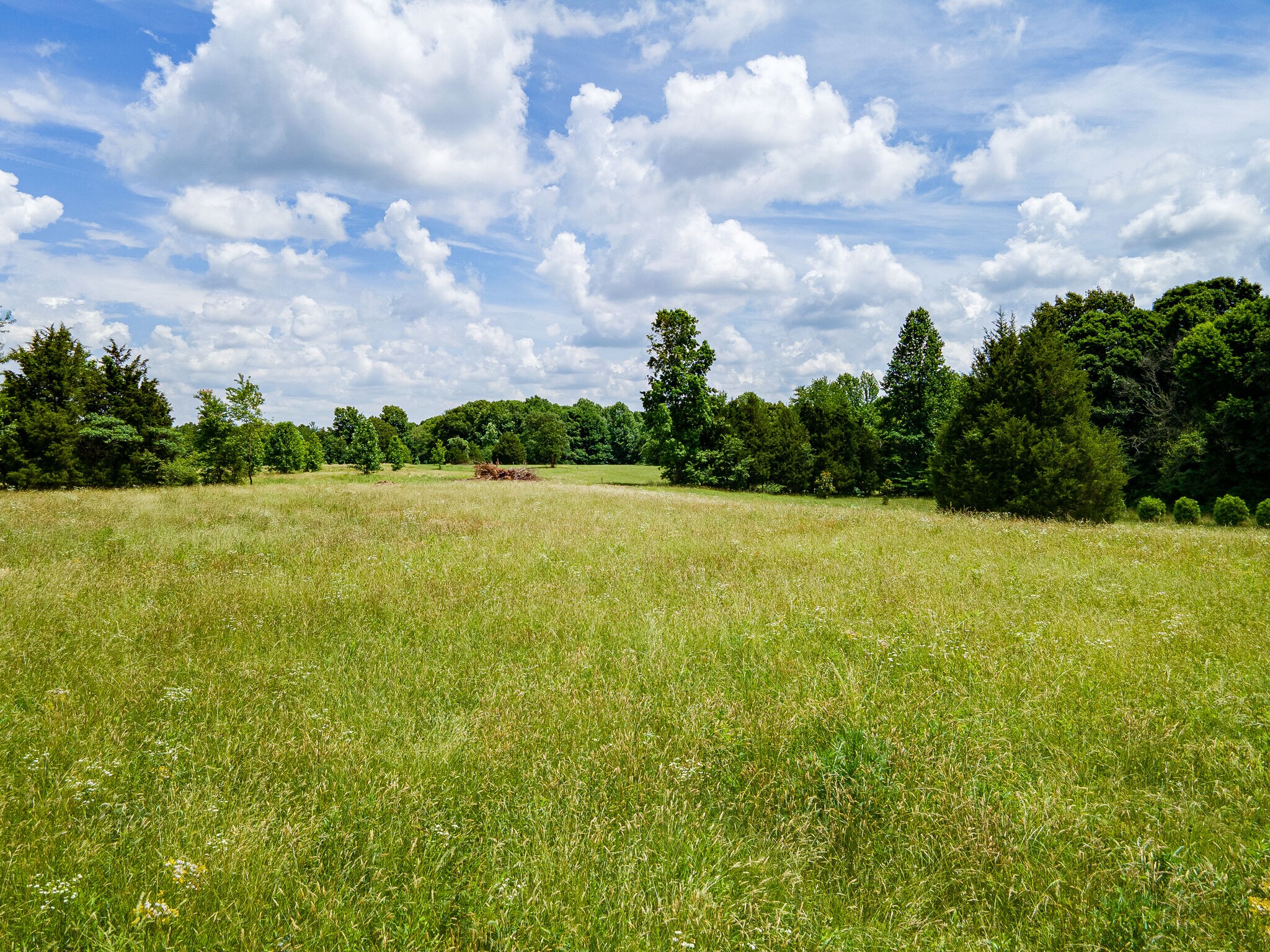 3590 Osborne Road Greenbrier, TN 37073 - Photo 27 of 27 Gallery Image 27