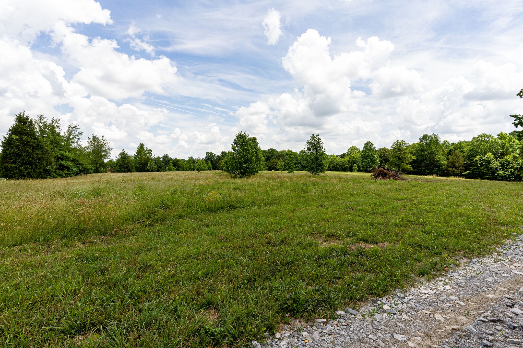 3590 Osborne Road Greenbrier, TN 37073 - Photo 3 of 27 Gallery Image 3