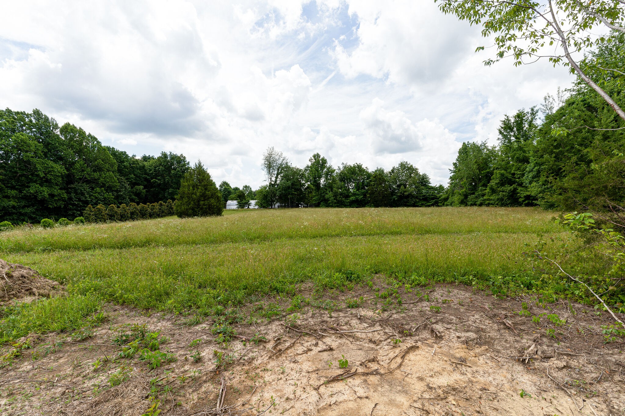 3590 Osborne Road Greenbrier, TN 37073 - Photo 4 of 27 Gallery Image 4