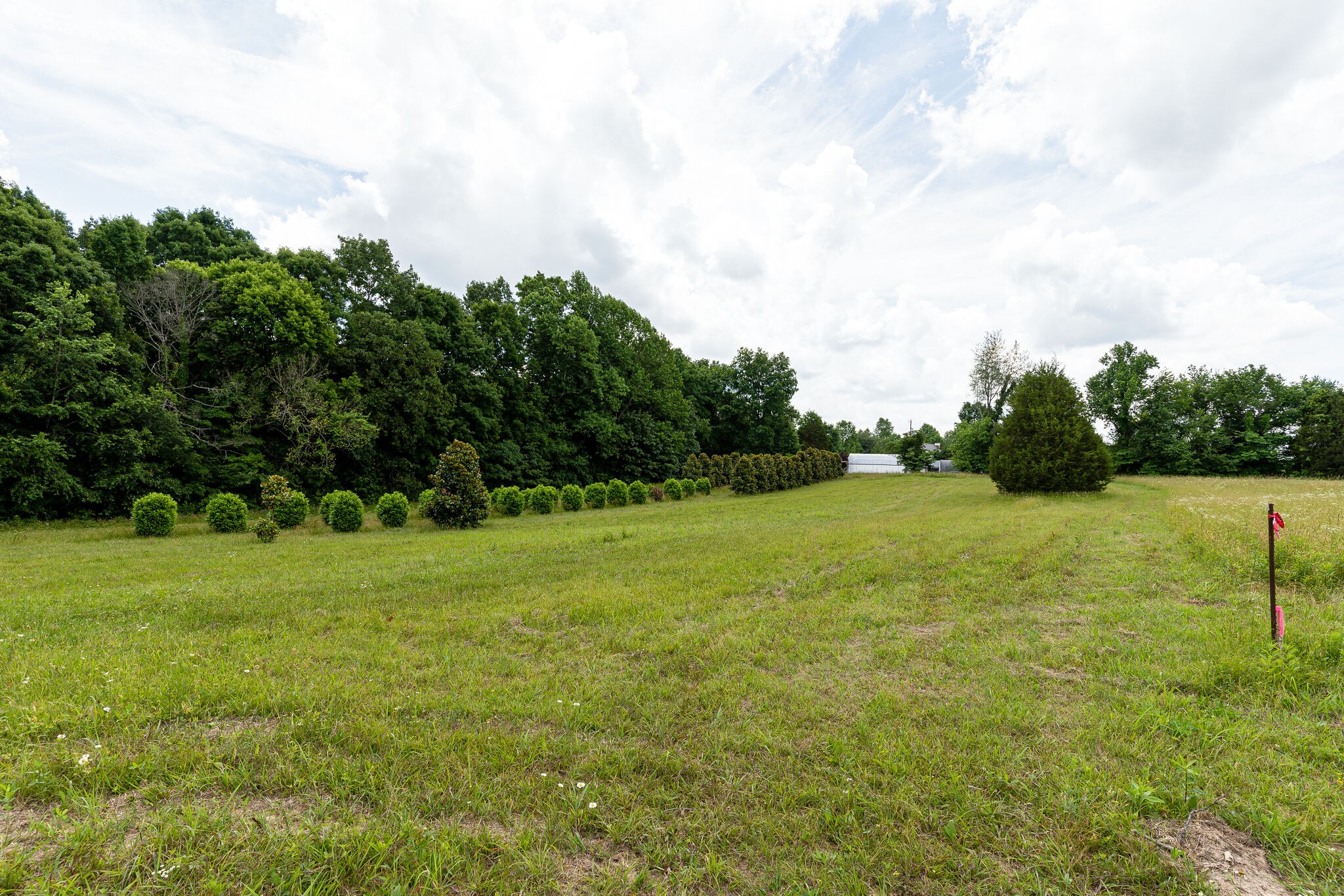 3590 Osborne Road Greenbrier, TN 37073 - Photo 5 of 27 Gallery Image 5