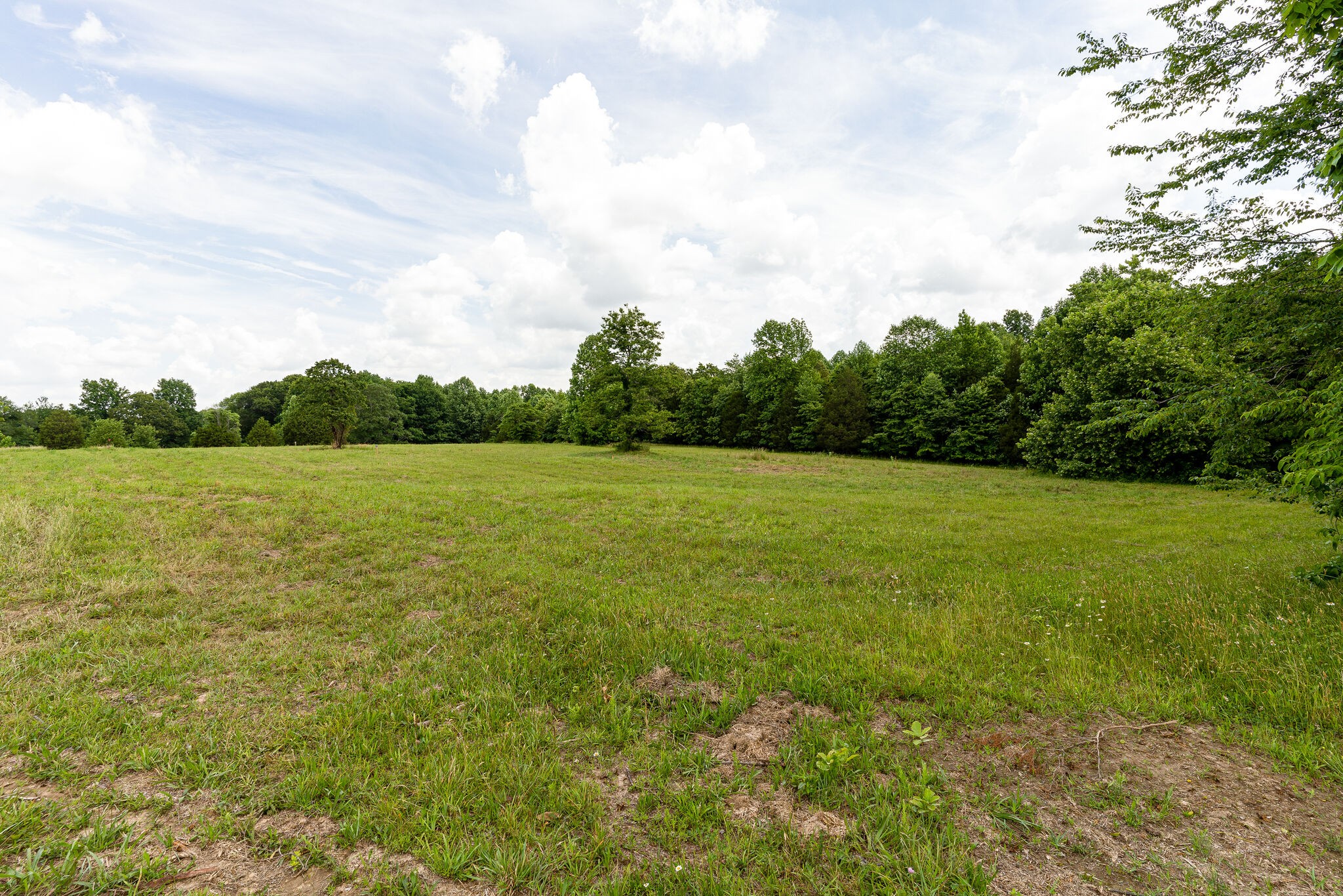 3590 Osborne Road Greenbrier, TN 37073 - Photo 6 of 27 Gallery Image 6