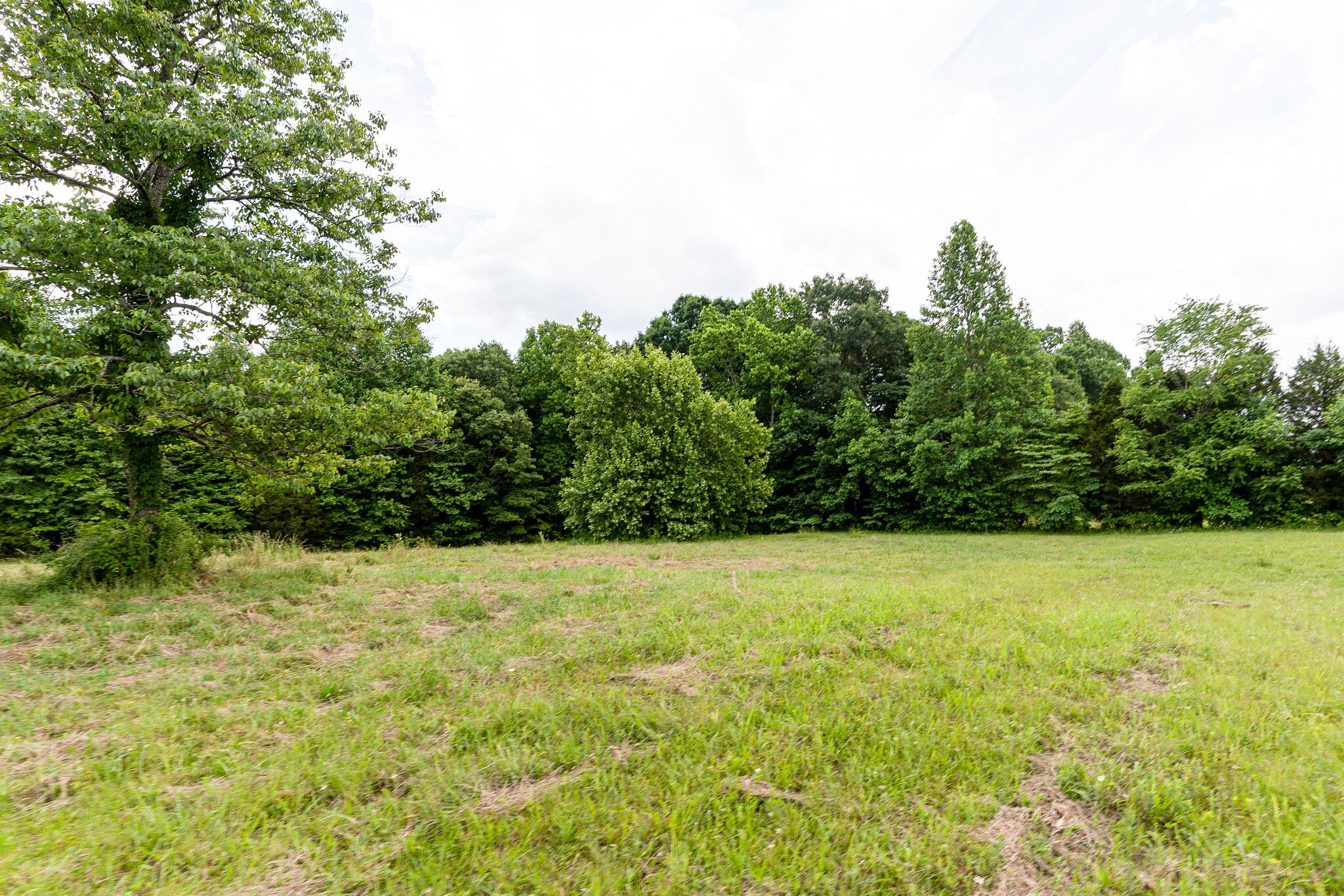3590 Osborne Road Greenbrier, TN 37073 - Photo 8 of 27 Gallery Image 8
