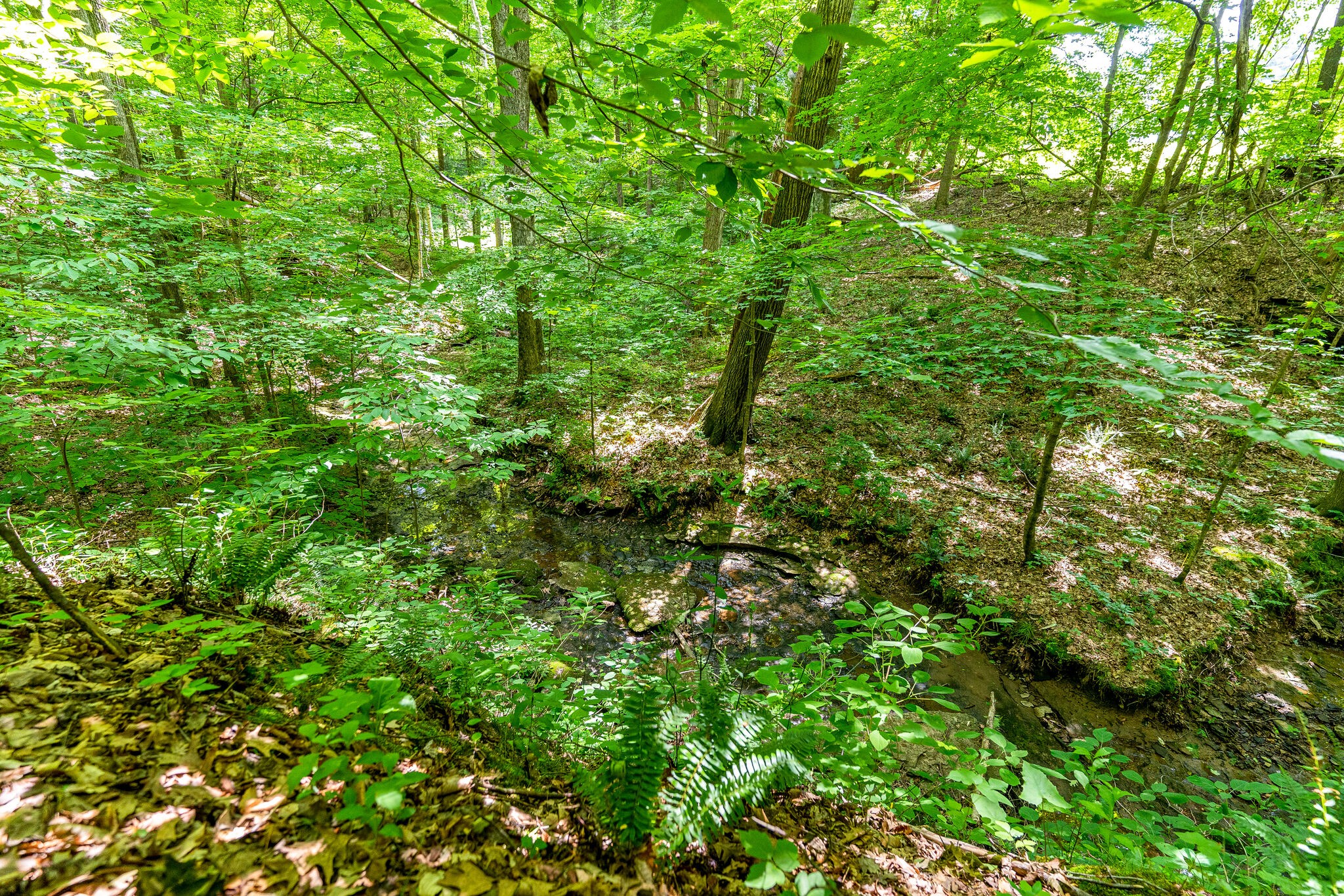3590 Osborne Road Greenbrier, TN 37073 - Photo 9 of 27 Gallery Image 9