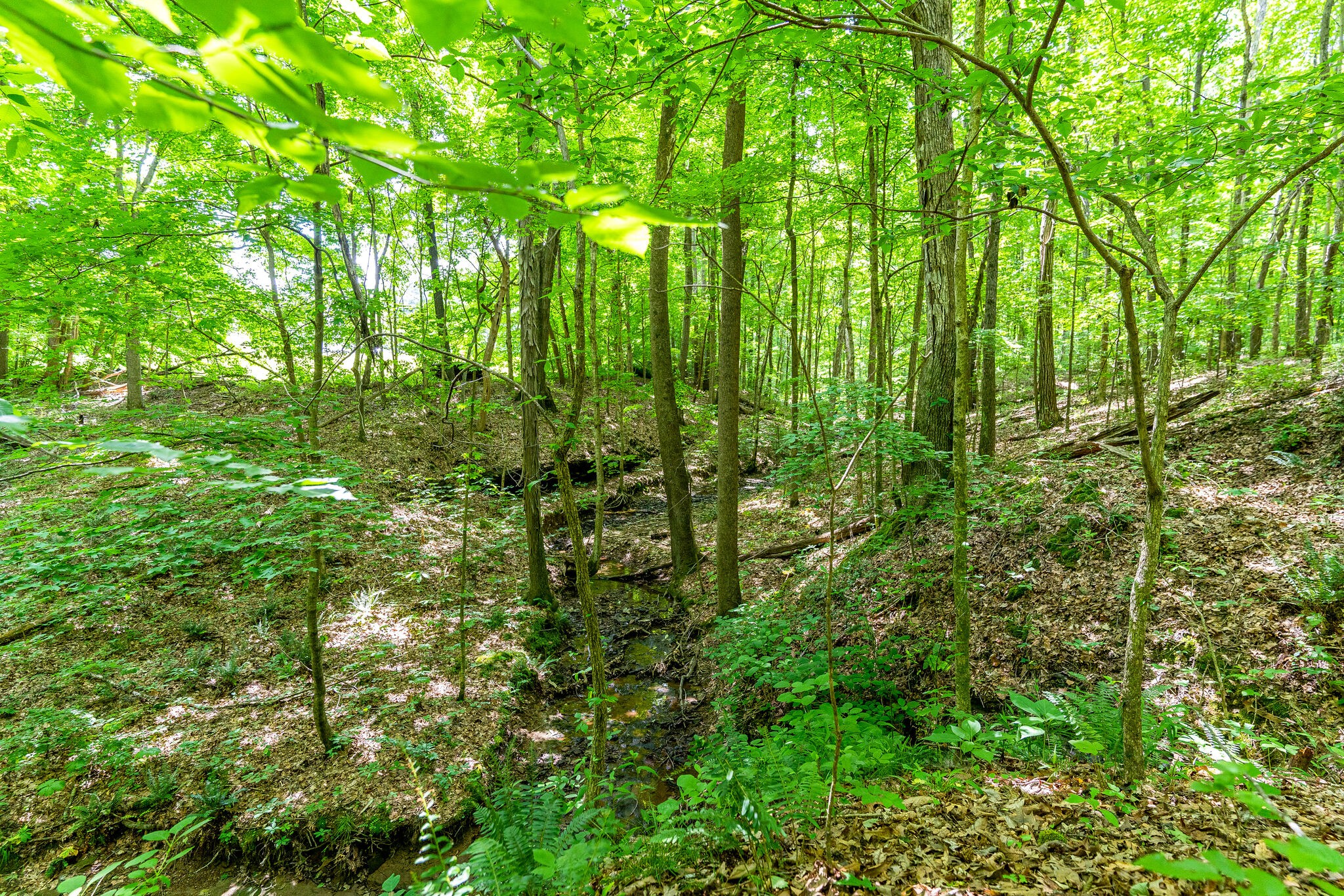 3590 Osborne Road Greenbrier, TN 37073 - Photo 10 of 27 Gallery Image 10