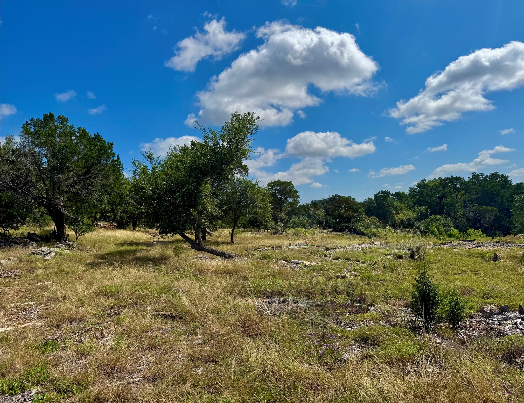 242 Landons Way Georgetown, TX 78633 - Photo 10 of 30 A spacious, undeveloped lot with mature trees and native grasses offers a serene natural setting.