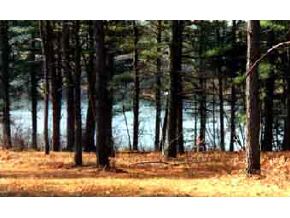 40 Moores Pond Road Madison, NH 03875 - Photo 3 of 3