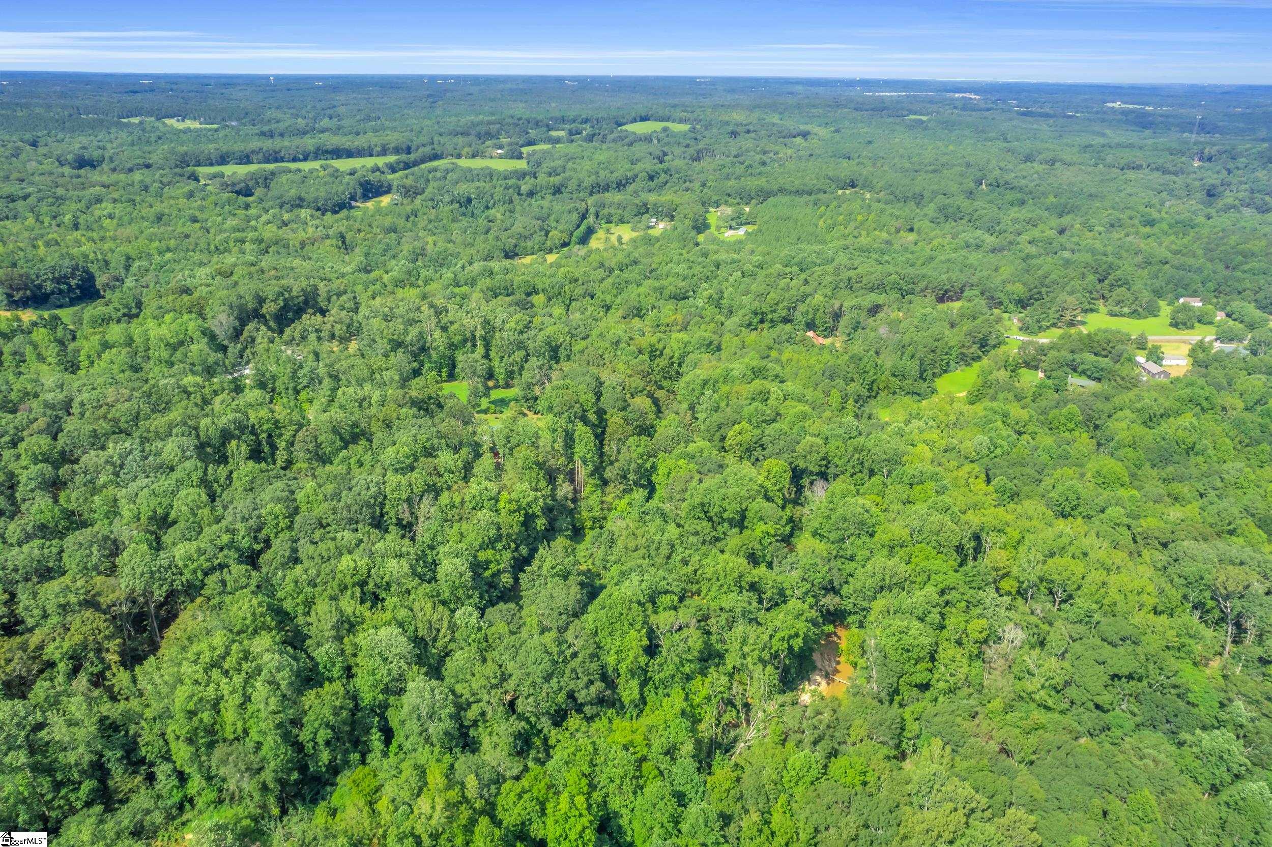 723 Durbin Ridge Fountain Inn, SC 29644 - Photo 17 of 23