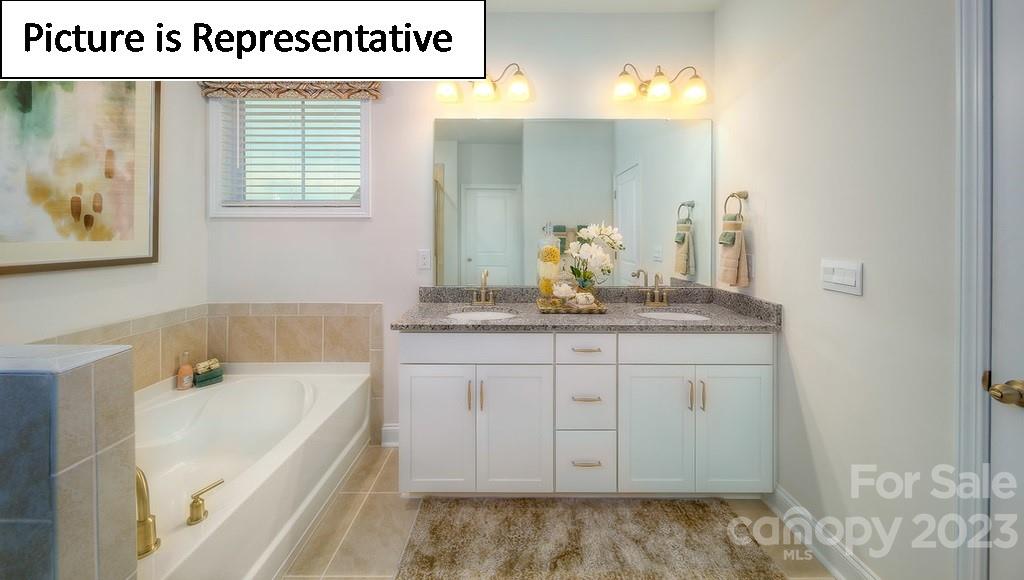 4182 Millstream Road Denver, NC 28037 - Photo 25 of 29 a bathroom with a sink and a bathtub