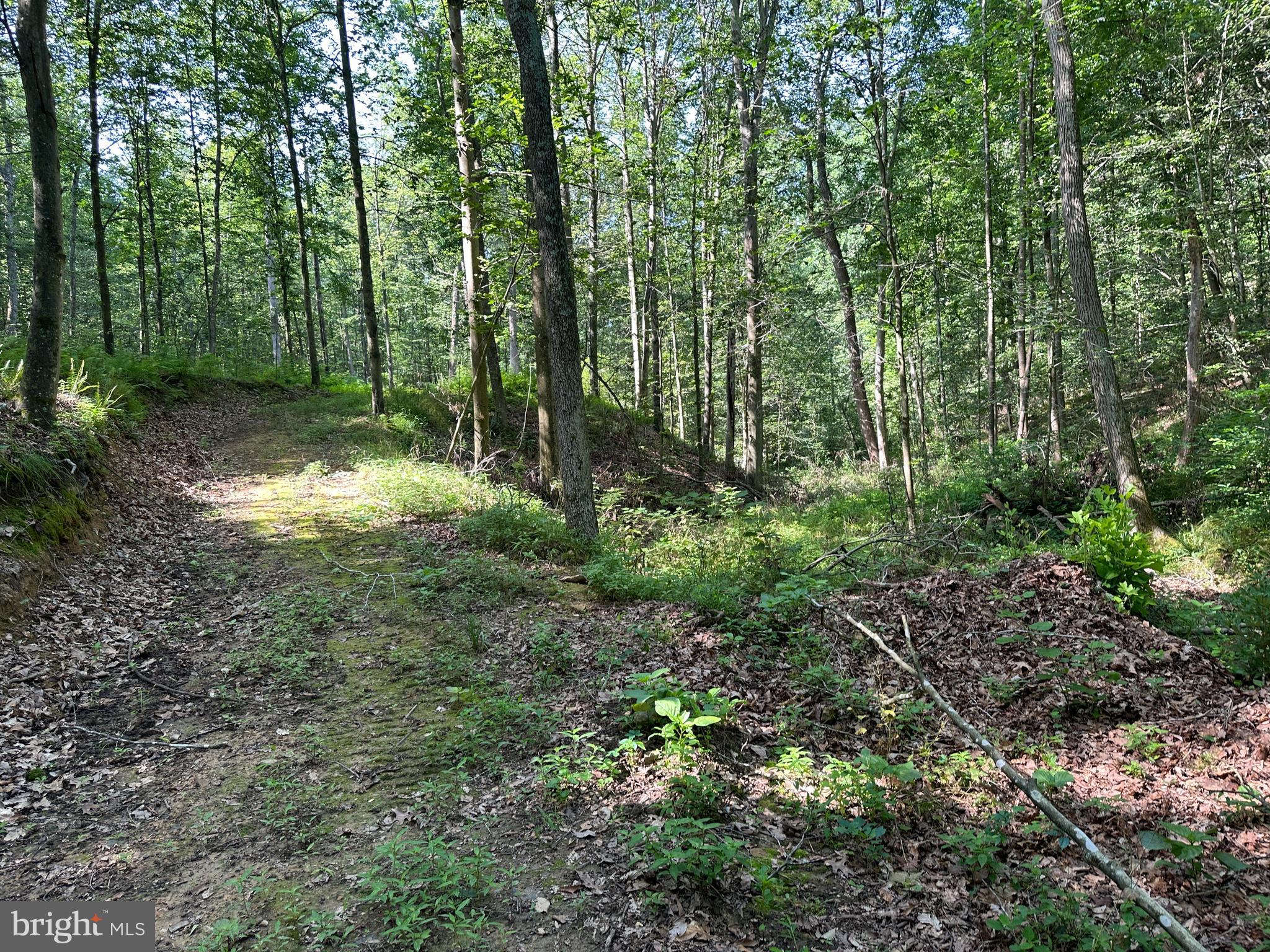 14118 Indian Springs Road Big Pool, MD 21711 - Photo 23 of 30