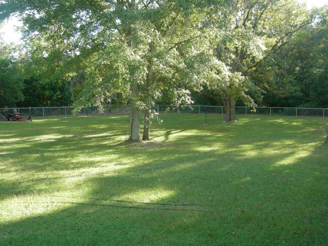 555 Orchard Road Williston, SC 29853 - Photo 19 of 21
