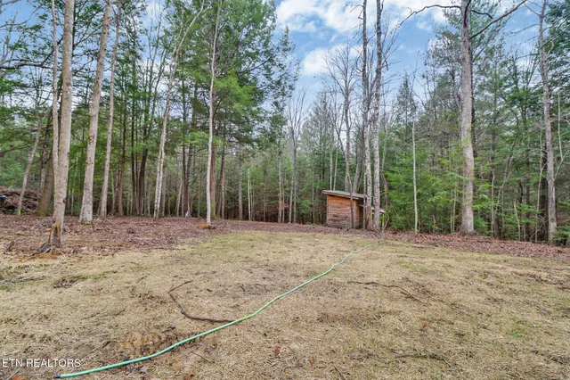 a backyard of a house with large trees and wooden fence