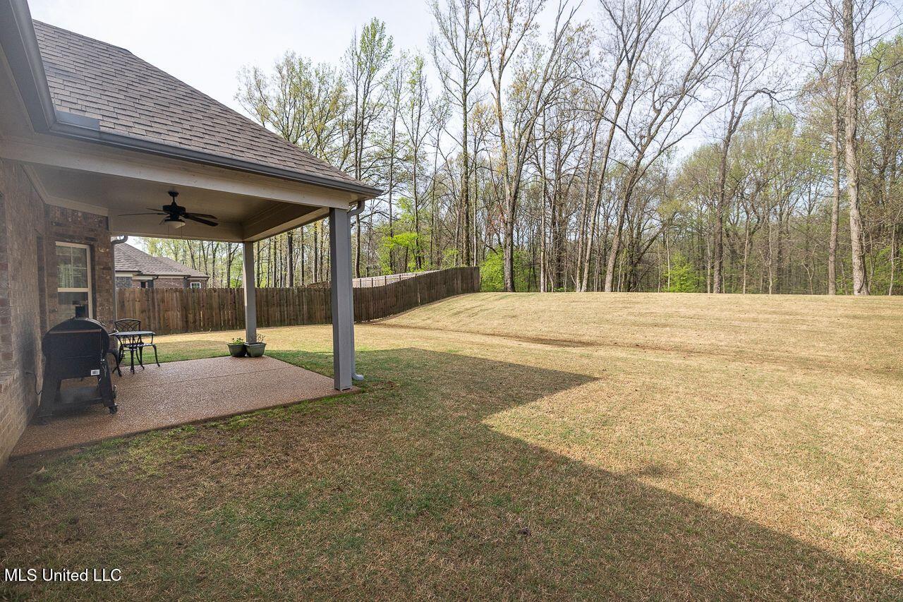 1155 Pettigrew Drive Hernando, MS 38632 - Photo 21 of 22 A50FA4C2-C1DD-4B54-A156-2529C608808A